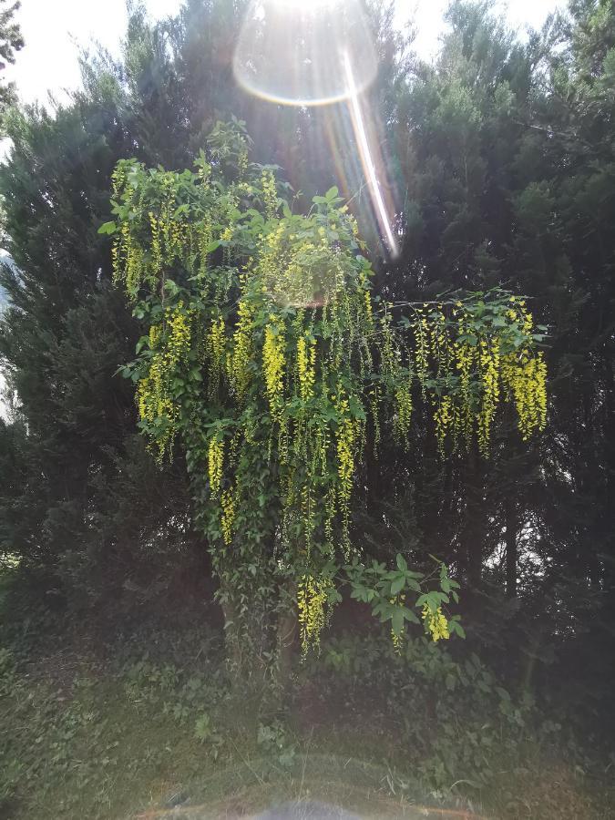 Bellavista Daire Emmetten Dış mekan fotoğraf